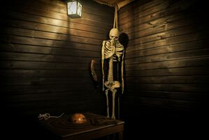 Photo of Escape room The Curse of The Black Pearl by OQRooms (photo 4)