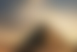 Фотографія квесту Скарби Султана від компанії OQRooms (Фото 1)