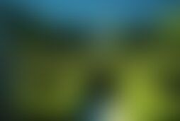 Фотографія квесту Миньоны: супербомба від компанії Выход (Фото 1)