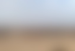 Фотография квеста Mad Max от компании Мышеловка (Фото 1)