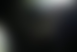 Фотография ролевого квеста Тетрадь смерти от компании Elysium Quest (Фото 2)
