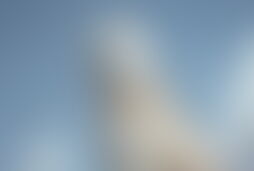 Фотографія квесту Хогвартс 2. Тайна Волан-де-Морта від компанії BERMUDA QUEST (Фото 1)