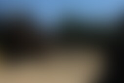 Фотография ролевого квеста Дикий Запад от компании Vertigo (Фото 1)